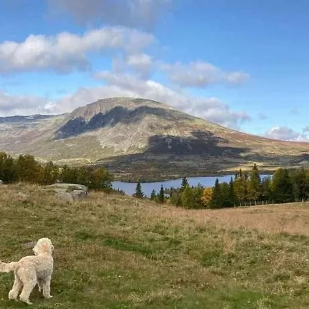 Holiday home Traditional Mountain Farm With Views Of Skogshorn Hemsedal