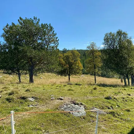 Holiday home Traditional Mountain Farm With Views Of Skogshorn Hemsedal