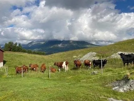 Holiday home Traditional Mountain Farm With Views Of Skogshorn