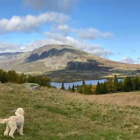 Traditional Mountain Farm With Views Of Skogshorn Holiday home