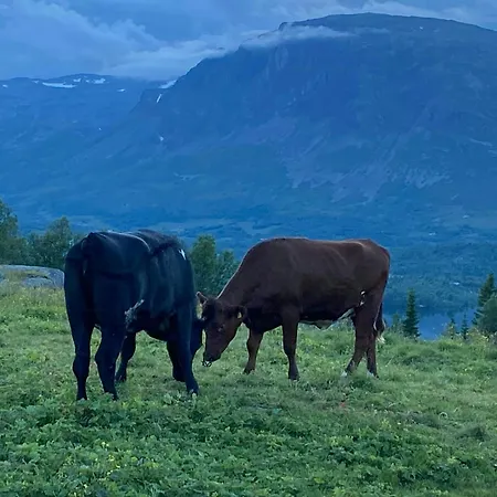 Holiday home Traditional Mountain Farm With Views Of Skogshorn