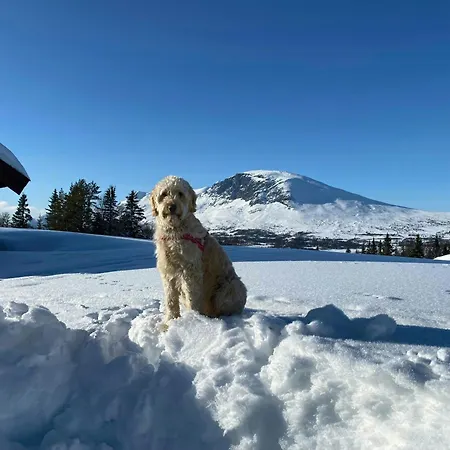 Traditional Mountain Farm With Views Of Skogshorn * Hemsedal