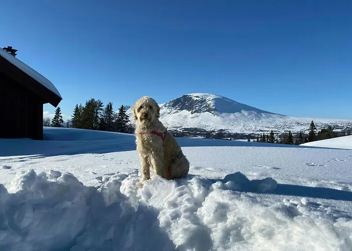 Traditional Mountain Farm With Views Of Skogshorn Hemsedal
