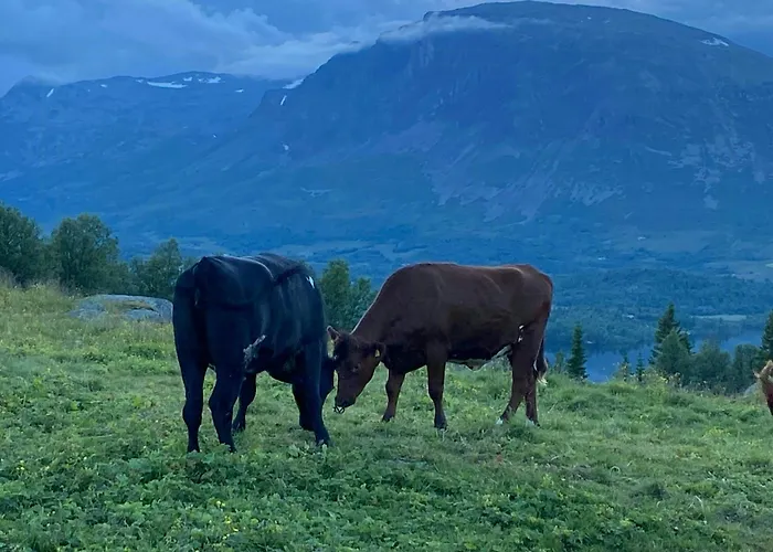 Traditional Mountain Farm With Views Of Skogshorn Hemsedal