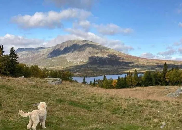 Ferienhaus Traditional Mountain Farm With Views Of Skogshorn Hemsedal